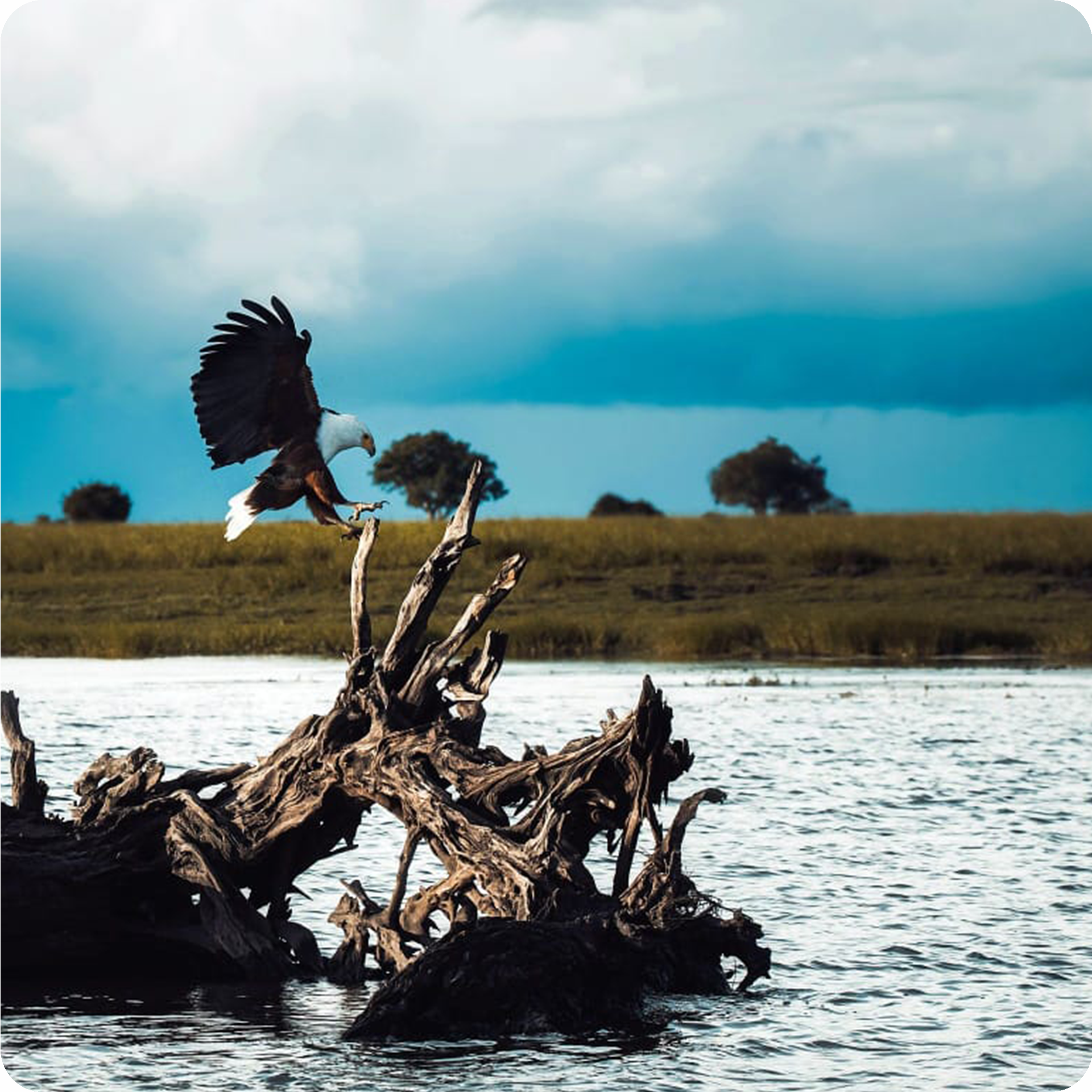 zambezi-river-